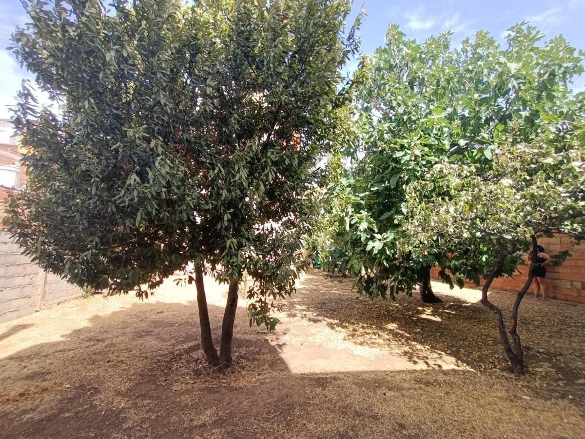 Holiday home Vivienda Rural Iberos M&m, *